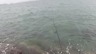 fishing mania 12