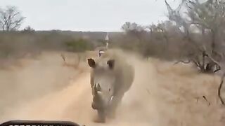 وحيد القرن ????