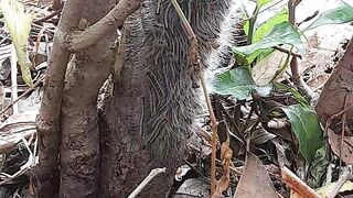 Worms