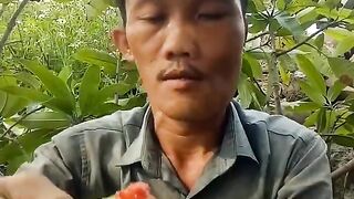 moi-ban-an-xoai-muoi-ot-nha