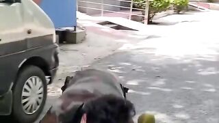 ছেলেটা কী হিরা বাচাতে পারবে