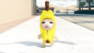 Funny Banana Cat