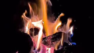 alexander_travel2_163369