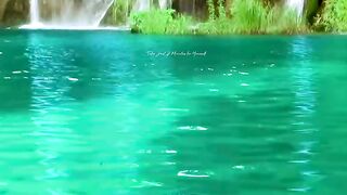 Rain forest waterfall sounds for sleep or study
