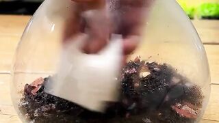 Spot the secret worm in this video