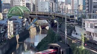Vibrant Urban Train Passes Through Cityscape