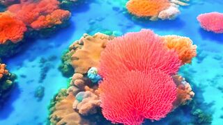 The Great Barrier Reef_ A Marine Ecological Marvel.