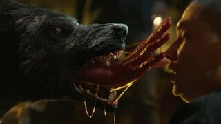 wolf fight scene1