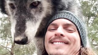a very dashing wolf