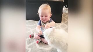 Babies Play With Dogs And Cats Compilation