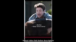 dog obedience class viral video