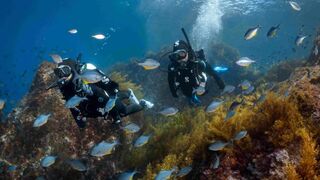 ////Asia's most loved beach country named best diving destination///Philippines///