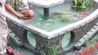 The most creative with aquarium with cement and brick
