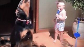 Funny Animal Clips No 1