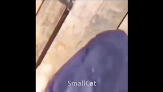 Offensive Memes That if you laugh you lose