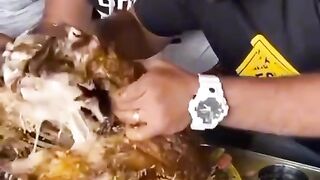 Food buetiful