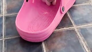 Funniest Cats 2023 #shorts #funny #shortvideos #febspot