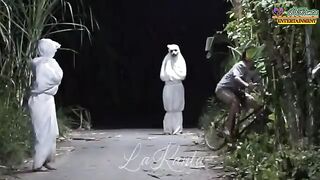 Funny Videos