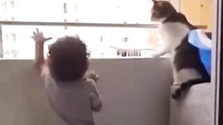 caught on camera animal saving humans