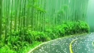 سبحان اللہ ،اللہ اکبر