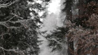 EU winter1