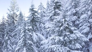 EU winter2