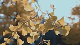 Watch Bokura no Shokutaku (2023) Episode 4