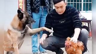 Loving_heart_❤️_ll_emotional_video_????????(480p).