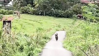 Amazing Standing motor
