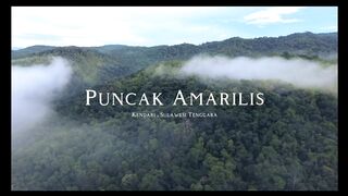 Top Amarilis