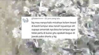 Kolam terpal diberi LUMPUR atau TANAH itu namanya kolam budidaya BELUT bukan LELE