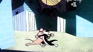 doggy and cat 2 haha