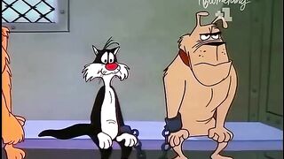 Dog and cat absconding haha
