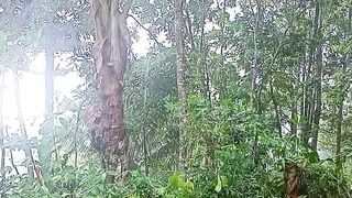 Rainy atmosphere in the village