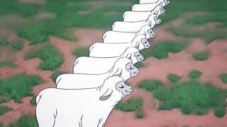sheep have been hungry for 200 years haha