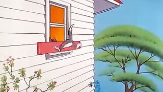 Tom and Jerry funny video