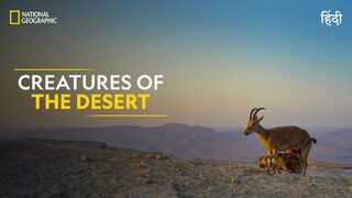 Creatures of the Desert | Hostile Planet | Full Episode | S1-E4 | National Geographic