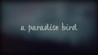 Alec Benjamin - Let Me Down Slowly