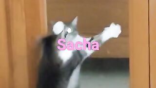 my pussy sacha