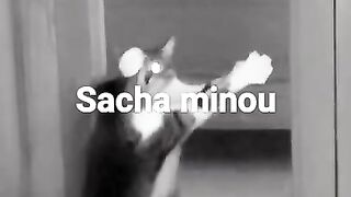my pussy sacha