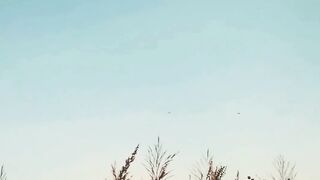 Motivational - Chase your dreams