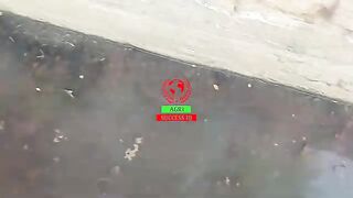 Full Video One girl one frog ???? original video link