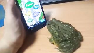 One girl one frog one girl on frog video