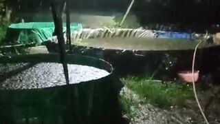 Curah HUJAN sangat tinggi diakhir tahun ini❗Pembudidaya lele WASPADALAH