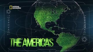 America s Lethal Reptiles | World s Deadliest Snakes | हिंदी | S1 - E3 | Nat Geo Wild
