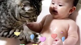 Cat bathes baby , Cat gives baby a bath together,  Cat sleeps with human baby ,#CatBathesBaby