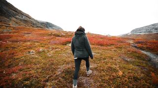 Flying by TrackTribe A Journey Through Sound
