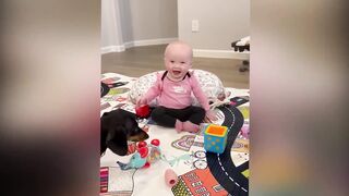 Adorable Babies Playing With Dogs and Cats