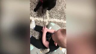 Babies Playing With Dogs