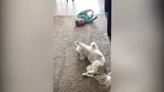 Cats Meeting Babies for the FIRST Time NEW Compilation